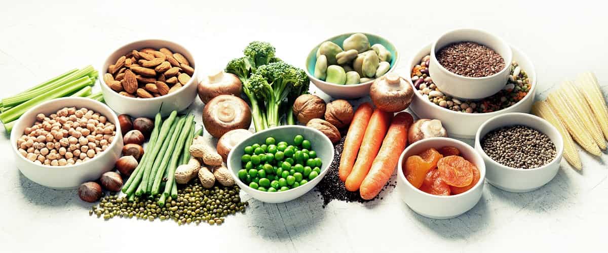 Association between plant-based diet and cancer prevention